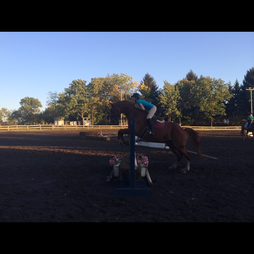 Meet your Posher, Halle